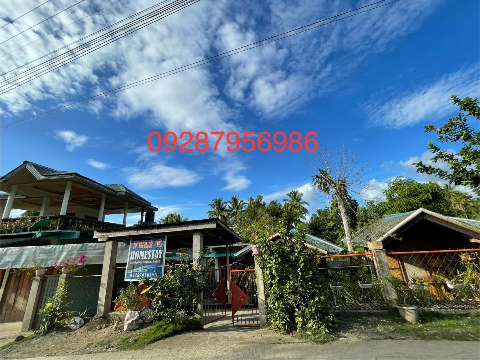 Fely's Homestay Batuan Luaran gambar